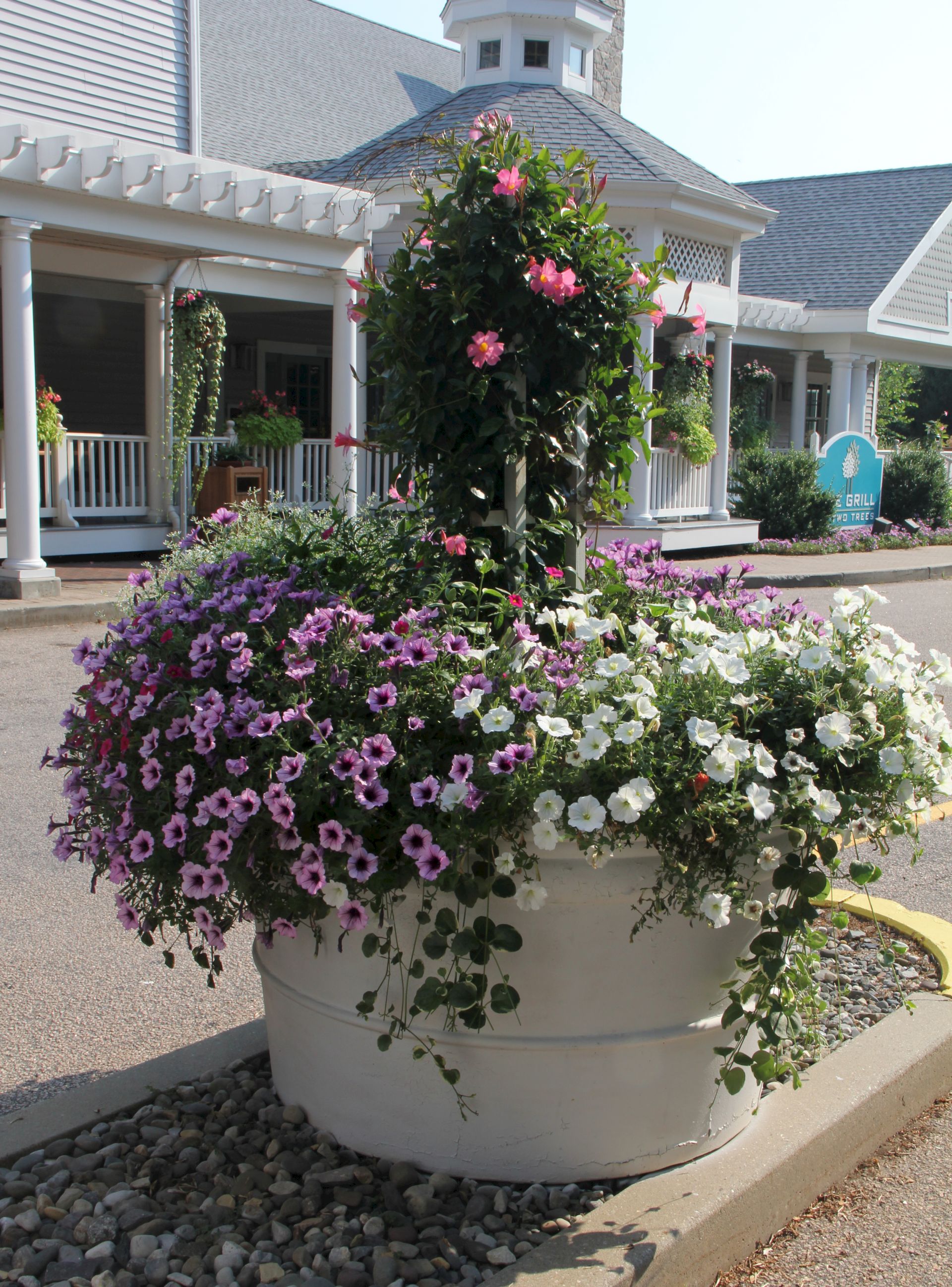 A large white planter overflowing with pink, purple, and white flowers, a trellis arch, and a light-colored porch building in the background.