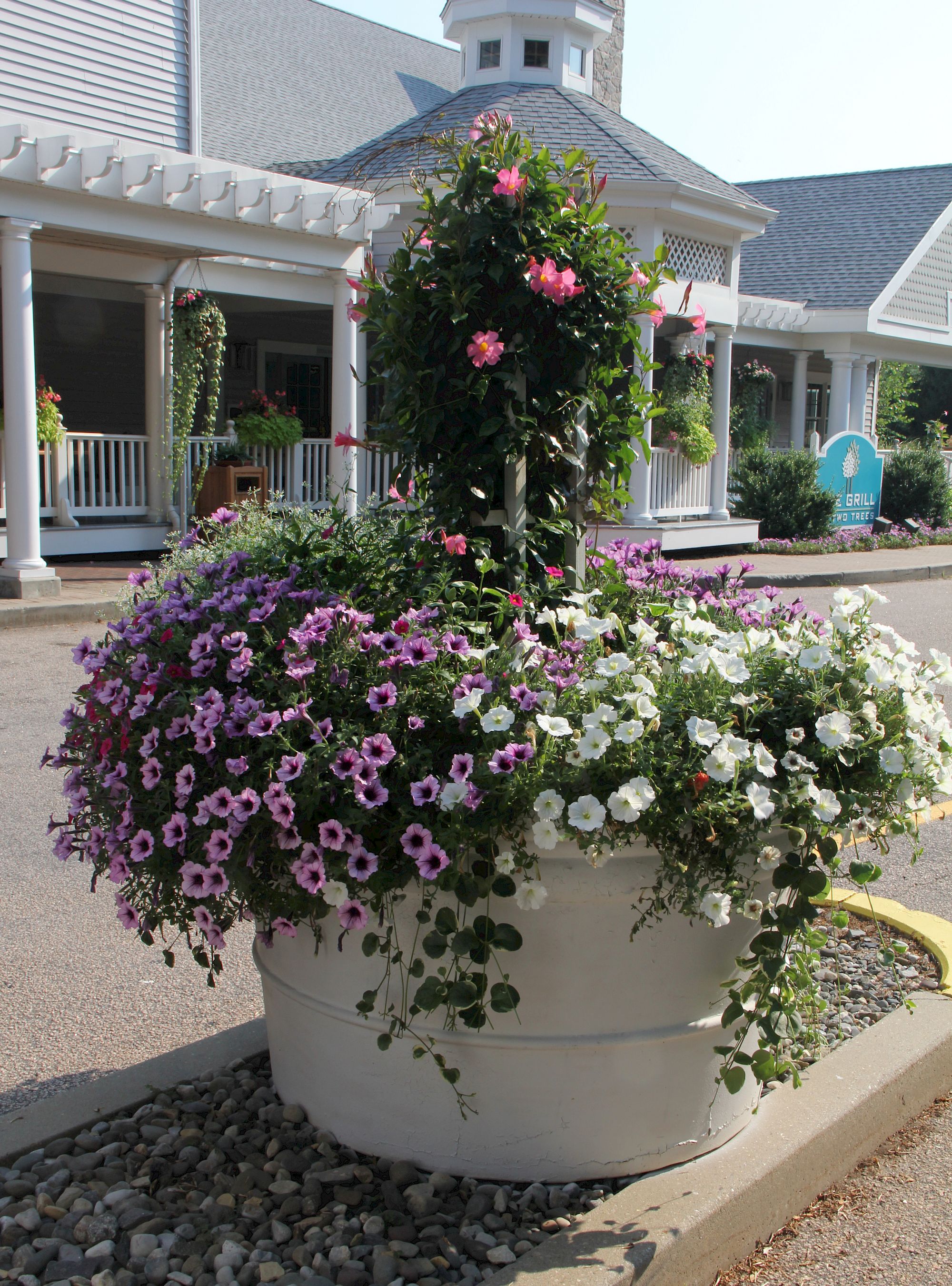 A large white planter overflowing with pink, purple, and white flowers, a trellis arch, and a light-colored porch building in the background.