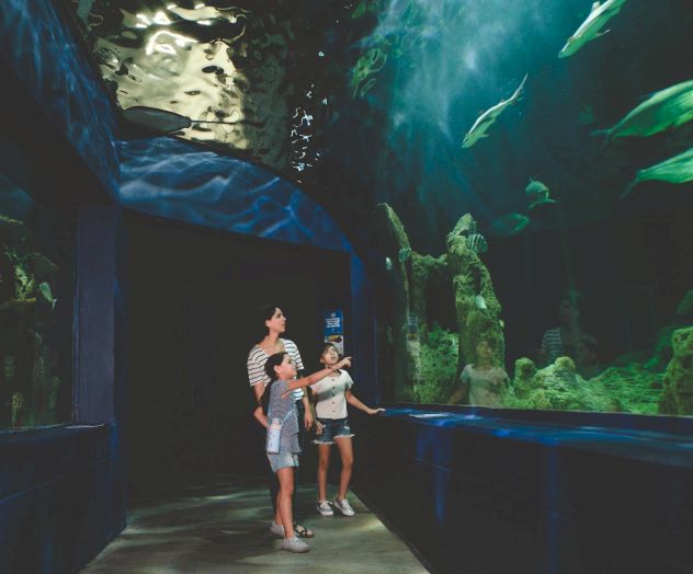 Make a splash during your stay&mdash;Mystic Aquarium is just minutes away, featuring interactive exhibits and amazing marine life experiences.